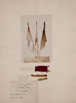 Three flags of the 54th Massachusetts Volunteer Infantry Regiment Photograph